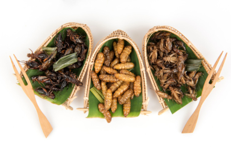 Approved third countries for the import of insects for human consumption Approved third countries for the import of insects for human consumption