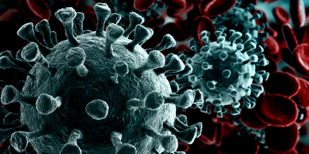 Coronavirus kein lebensmittelhygienisches Problem Coronavirus kein lebensmittelhygienisches Problem
