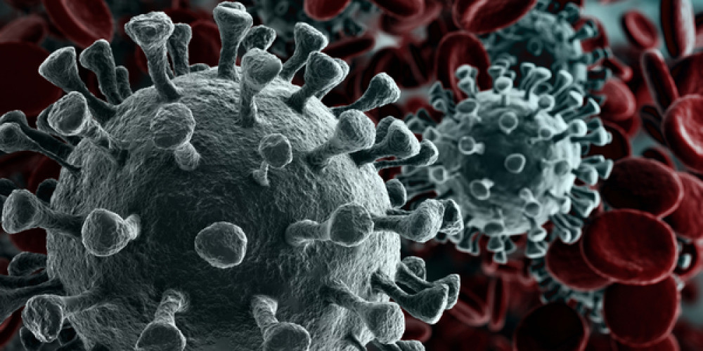 Infektion mit dem Coronavirus durch den Verzehr von Lebensmitteln unwahrscheinlich Infektion mit dem Coronavirus durch den Verzehr von Lebensmitteln unwahrscheinlich