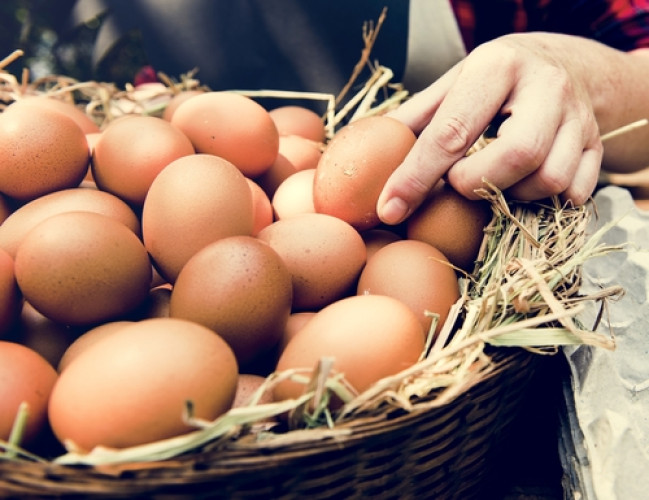 Dioxins and Polychlorinated Biphenyls (PCB) in Food - Report by CVUA Freiburg Dioxins and Polychlorinated Biphenyls (PCB) in Food - Report by CVUA Freiburg