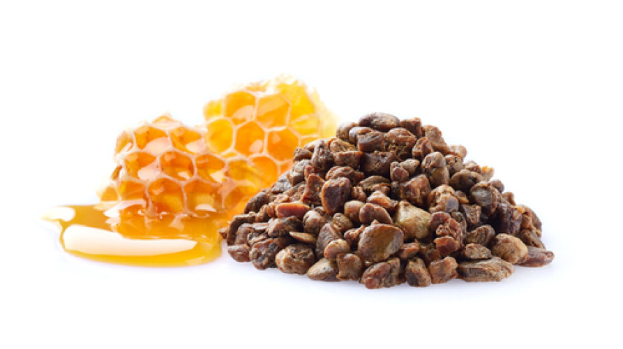 Propolis in Cosmetics – Contact Allergies on the Rise Propolis in Cosmetics – Contact Allergies on the Rise